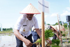 Brigade Pangan Aceh Besar Gelar Gerakan Tanam Serempak untuk Perkuat Produksi Padi Nasional