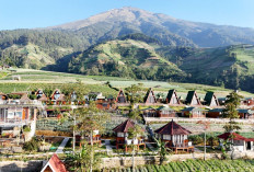 Malio Sky Resort Penginapan Anyar Terdekat Silancur Tawarkan Sensasi Klasik dengan Tarif Kompetitif