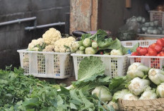 Mengenal Desa BRILian Sumowono, Desa Sayur yang Tumbuh dan Terus Berinovasi Bersama BRI