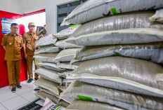 Tinjau Koperasi Desa Merah Putih, Ahmad Luthfi Jamin Harga Sembako Murah