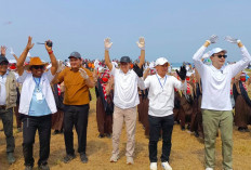 Festival Layang-Layang Purworejo 2026 Dongkrak Ekonomi Pantai Ketawang, DPRD Dorong Wisata Pantai