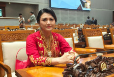 Komisi IX DPR Temukan Kejanggalan Anggaran Program Makan Bergizi Gratis