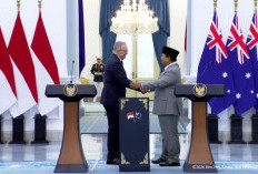 BPS Catat Lonjakan Potensi Produksi Beras Awal 2026, Naik 15,79 Persen