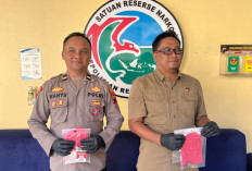 Pengedar Sabu di Kalikajar Wonosobo Dibekuk, 4 Paket Barang Bukti Disita