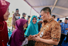 Produksi Jagung Jateng Tembus 2,68 Juta Ton hingga September 2026, Ditarget Capai 3,7 Juta Ton