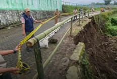 BPBD Temanggung Asesmen Longsor Jalan Desa Mangunsari, Talud Ambrol 15 Meter