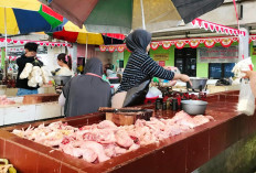 Harga Daging Ayam di Magelang Tembus Rp 45.000, Pembeli Mulai Mengeluh