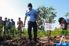 Bekas Tambang Andesit di Semarang Jadi Agrowisata, Gubernur Ahmad Luthfi Puji Reklamasi Konsisten