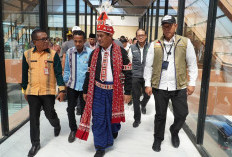 Gerak Cepat Mentan Amran Kirim Bantuan Pangan 75,4 milyar untuk bencana di NTT