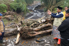 Tinjau Titik Terparah Banjir Bandang Pemalang, Taj Yasin Dorong Pemerintah Pusat Perkuat Hutan Lindung
