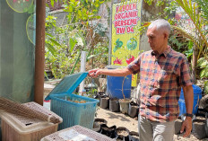 Warga Jambon Gesikan Kota Magelang Ubah Limbah Minyak Jelantah Jadi Sabun Ramah Lingkungan
