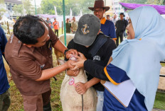 Pemprov Jateng Pastikan Hewan Kurban Sehat dan Aman Dikonsumsi 