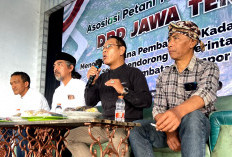 Petani Tembakau Temanggung Tolak Pembatasan Kadar TAR dan Nikotin, Khawatir Panen Lokal Tersisih