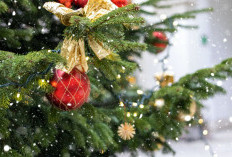 Fatwa MUI  tentang Larangan Umat Islam Mengikuti Natal Bersama dan 6 Alasannya Dalam Al-Qur'an