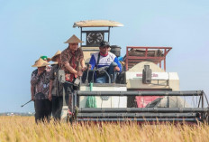 Hujan Mulai Turun, Produksi Padi Jateng 2026 Ditargetkan Tembus 10,5 Juta Ton