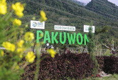 Desa Pajambon di Kuningan Jadi Contoh Transformasi Ekonomi Desa Berbasis Potensi Lokal