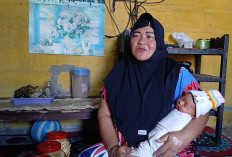 Bayi Muhammad MBG Subianto di Wonosobo Viral, Nama Jadi Ungkapan Syukur Program MBG