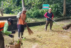 Cegah Tragedi Berulang, Kebun Raya Gunung Tidar Magelang Lakukan Perambasan Pohon