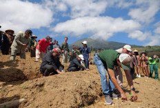 Tradisi Wiwit Lereng Sumbing Dimulai, Petani Tembakau Temanggung Harap Harga Tembus Rp100 Ribu