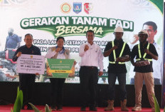 Mentan Amran Gelontorkan Bantuan Rp1,3 Triliun untuk Papua Selatan, Perkuat Lumbung Pangan Indonesia Timur