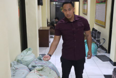 Curi Kapulaga Majikan Rp 7,6 Juta, Pekerja Bangunan di Magelang Ditangkap