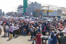 Harga Pakan Naik, Peternak Magelang Bagikan 2.000 Ayam di Alun-Alun
