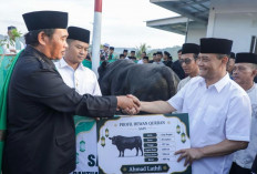 Gubernur Jateng Pastikan Huntara Warga Tegal Layak Dihuni Hingga Huntap Rampung