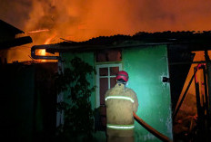 Amukan Si Jago Merah di Wonosobo, 8 Rumah Hangus, Kerugian Capai Rp588 Juta