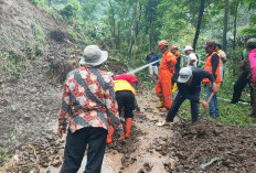 Longsor Tutup Total Jalan Tlogowungu Gemawang Temanggung, Lima Kendaraan Terjebak
