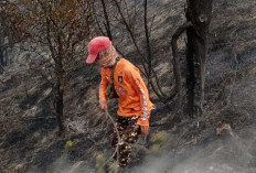 Gunung Pakuwaja Dieng Wonosobo Membara, 5 Hektare Hutan Lindung Hangus Terbakar