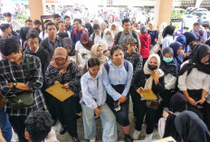 Pemkab Magelang Buka 2.103 Lowongan Kerja, Ribuan Pelamar Serbu Job Fair Mungkid