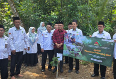 Sulap Tanah Wakaf Jadi Kebun Alpukat, Wibowo Prasetyo Gelar Bazar Murah di Purworejo