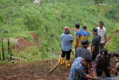 Dua Alat Berat Diterjunkan, Percepatan Penanganan Longsor di Ngadisepi Temanggung Dikebut