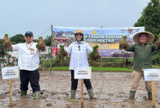 Kementan Percepat Tanam Oplah dan CSR untuk Jaga Produksi Pangan