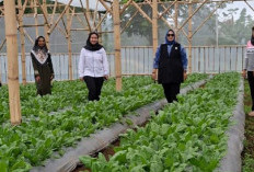Perempuan Nasabah PNM Mekaar di Bandung Barat Kembangkan Usaha lewat Sinergi Ultra Mikro BRI