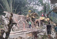 Tanah Longsor dan Pohon Tumbang Terjang Grabag Magelang, BPBD Imbau Warga Waspada