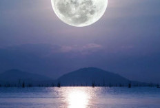 5 Amalan di 10 Hari Pertama Bulan Dzulhijah yang Pahalanya Bisa Menandangi Jihad