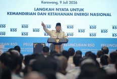 Presiden Prabowo Resmikan B50, Mentan Amran: Hilirisasi Sawit Perkuat Ketahanan Energi dan Kesejahteraan Petan