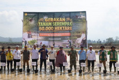 Kementan Genjot Indeks Pertanaman Melalui Gerakan Tanam Serempak Oplah dan CSR