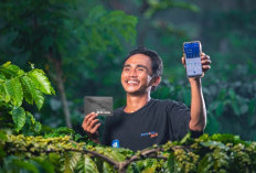 Komitmen Dukung Ketahanan Pangan Nasional, BRI Salurkan KUR Rp65,95 Triliun per April 2026