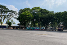 Taman Kyai Langgeng Minta Karcis Parkir yang Ditempeli Nominal Rp10 Ribu Ditarik dari Peredaran