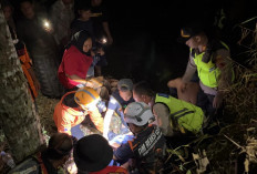 Rem Tangan Tak Kuat, Truk Pengangkut Kuda Terjun ke Jurang Kajoran Magelang