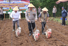 Polres Purworejo Tanam Jagung Serentak di Kalimiru, Dukung Program Ketahanan Pangan Nasional