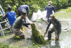 Peringati HKB 2026, Ratusan Relawan Turun Bersihkan Sampah di Kali Bening Kota Magelang