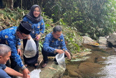 Pemkab Magelang Lakukan Program Spawning dan Nursery Ground untuk Pelestarian Sungai