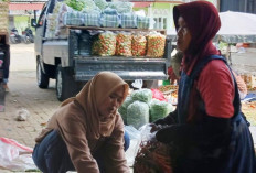 Efek Makan Bergizi Gratis, Harga Sayur di Magelang Meroket, Bunga Kol Malah Anjlok