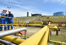 Kinerja Awal 2026 Tetap Terjaga , Pertamina Hulu Energi Berhasil Catatkan Produksi Migas 956 MBOEPD 