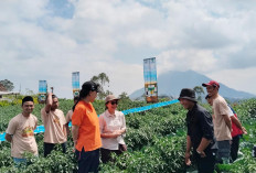 Tangkal Krisis Regenerasi, Bayer Cetak 500 Petani Muda di Magelang Lewat Program Satria