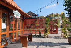 Punya Mini Zoo dan View Sawah, Cafe Angin Sawah Jadi Tempat Nongkrong Unik di Magelang