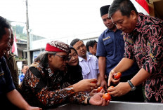 Petani Lereng Gunung Prau Dikenalkan Teknologi Plasma Ozon UNDIP untuk Perpanjang Masa Simpan Hasil Panen